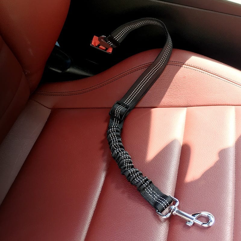 Adjustable Bungee Dog Car Seat Belt