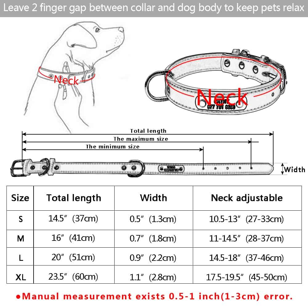 Personalized Leather Dog Collar Basic