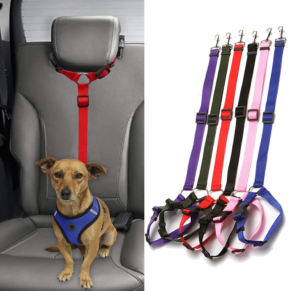 Dog Car Safety Leash