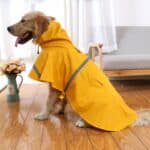 Waterproof Dog Raincoat Poncho