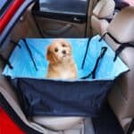 Waterproof Dog Car Seat Cover Back Single